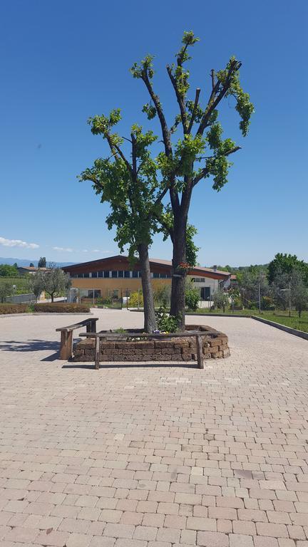 Albergo Quattro Pini San Martino della Battaglia Esterno foto